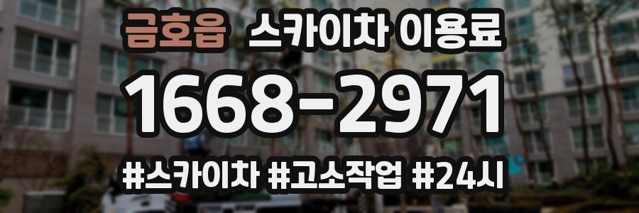 금호읍 스카이차 이용료