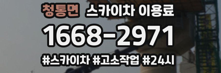 청통면 스카이차 이용료