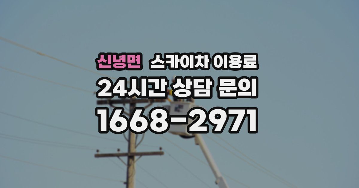 신녕면 스카이차 이용료