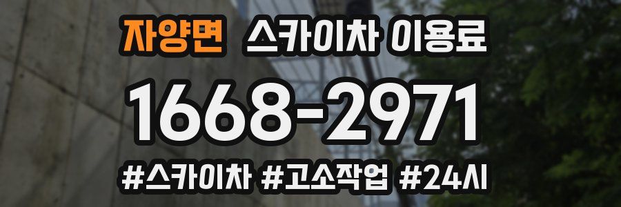 자양면 스카이차 이용료