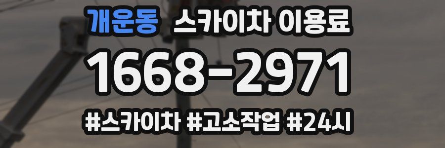 개운동 스카이차 이용료