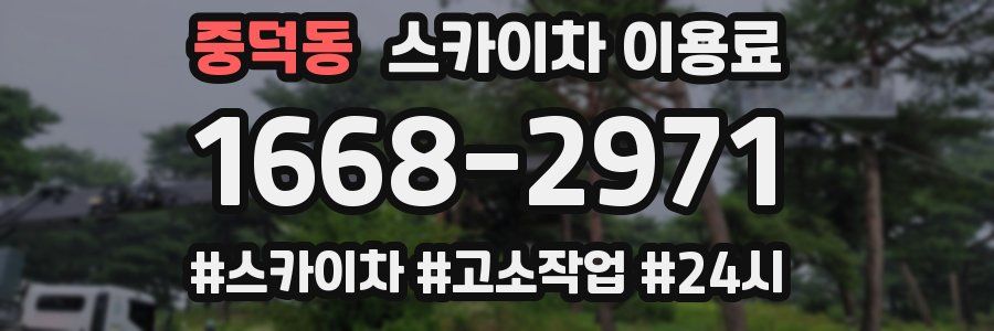 중덕동 스카이차 이용료