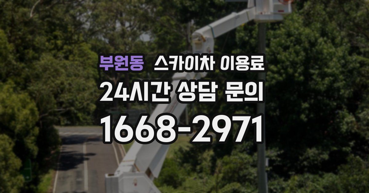 부원동 스카이차 이용료