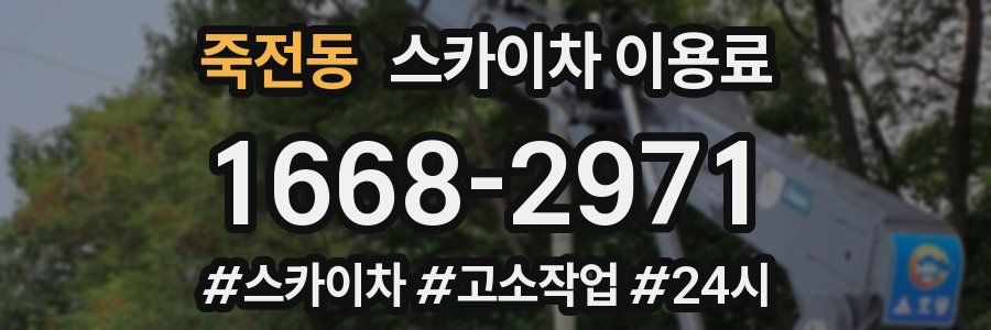 죽전동 스카이차 이용료