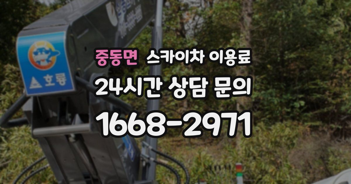 중동면 스카이차 이용료