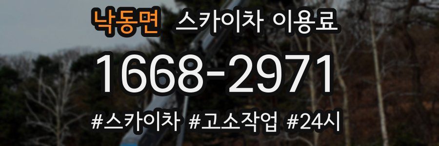 낙동면 스카이차 이용료