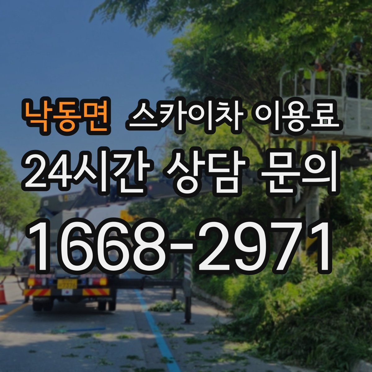 낙동면 스카이차 이용료