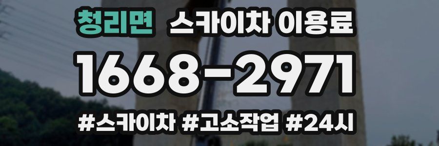 청리면 스카이차 이용료