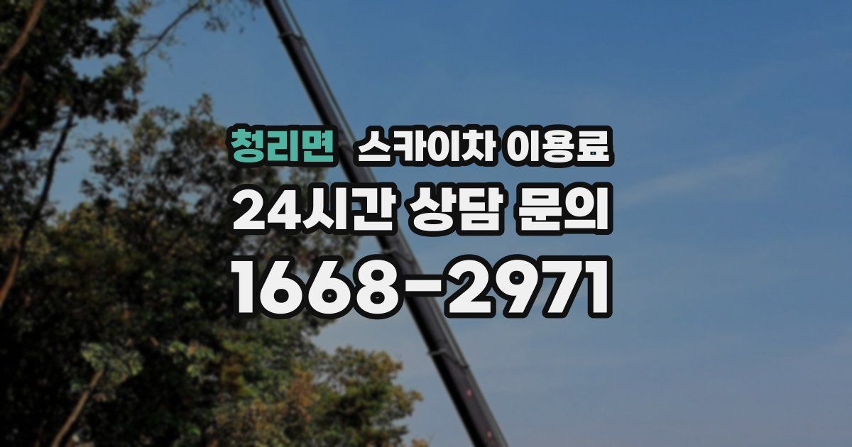 청리면 스카이차 이용료