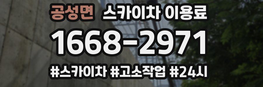 공성면 스카이차 이용료