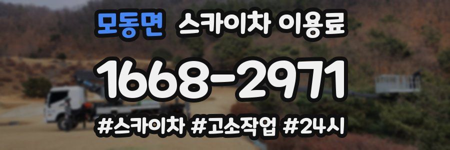 모동면 스카이차 이용료
