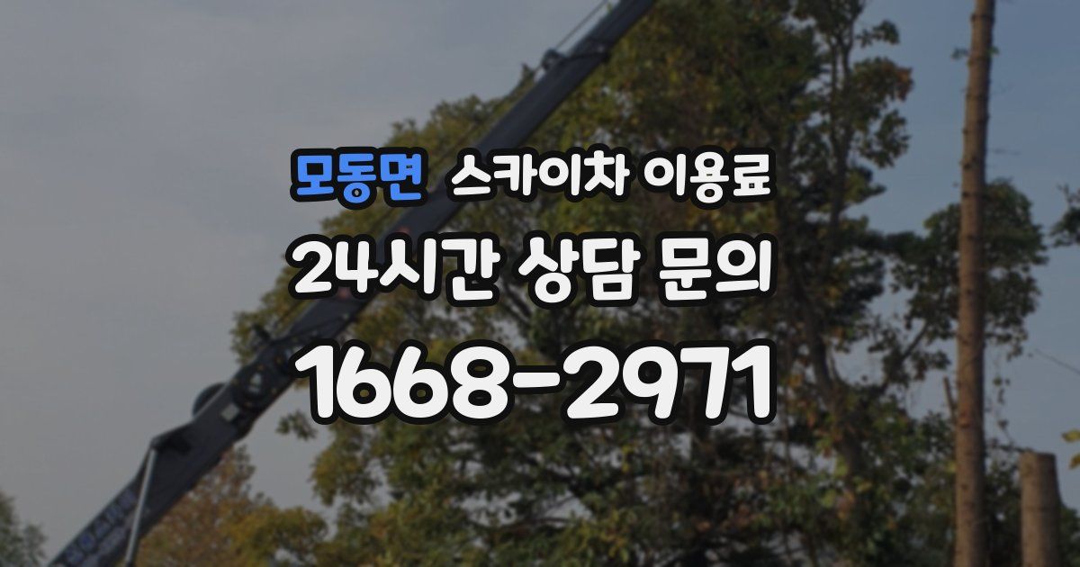 모동면 스카이차 이용료