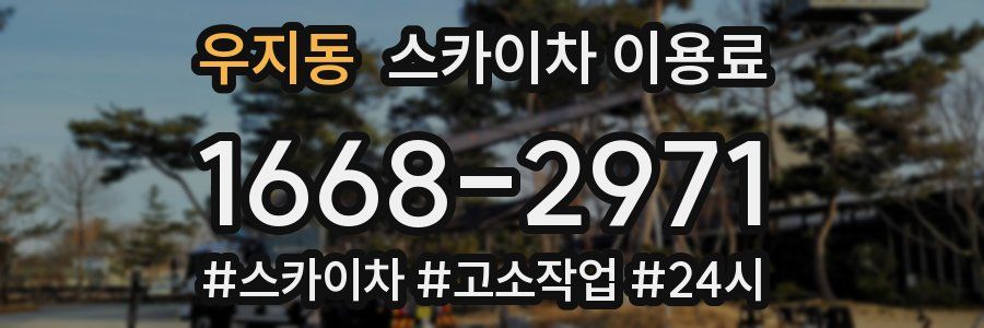 우지동 스카이차 이용료