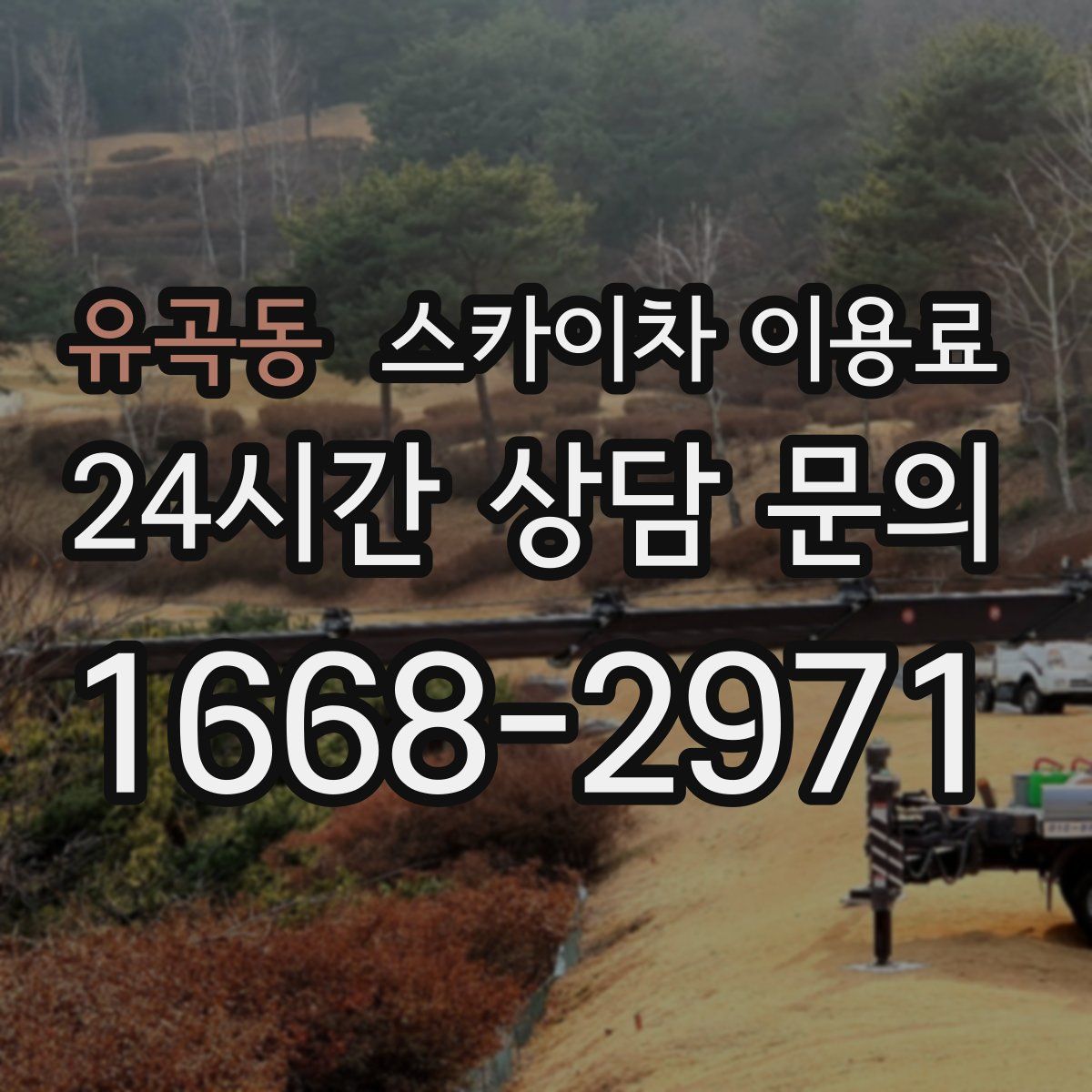 유곡동 스카이차 이용료