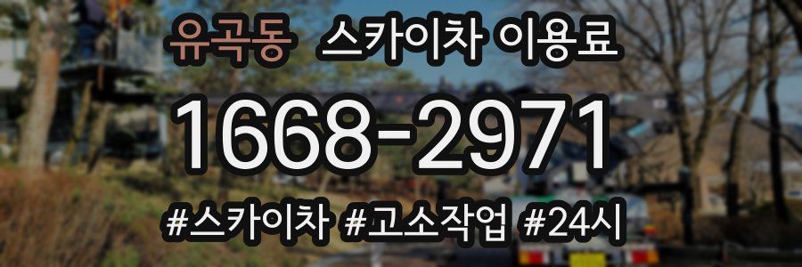 유곡동 스카이차 이용료