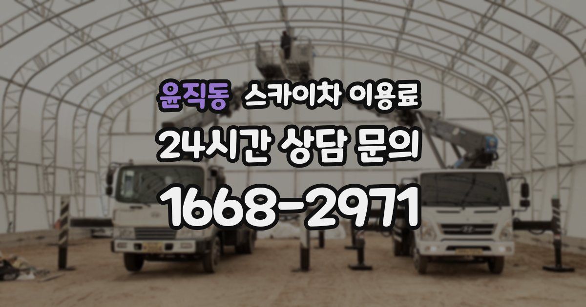 윤직동 스카이차 이용료