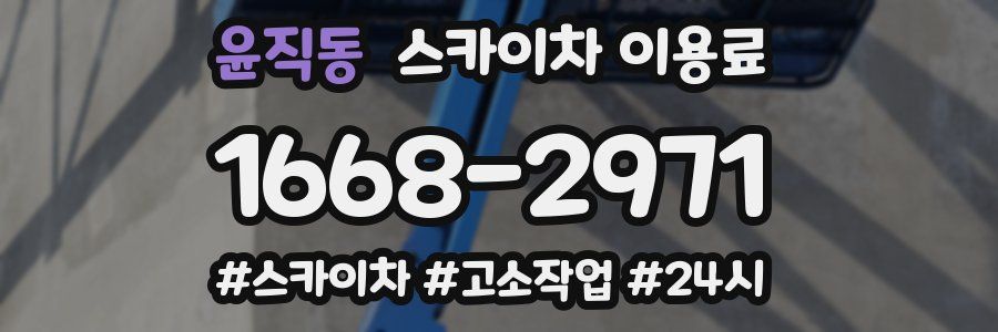 윤직동 스카이차 이용료