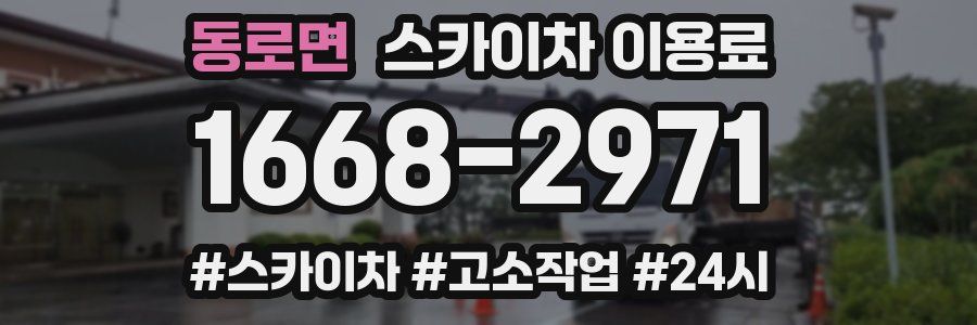 동로면 스카이차 이용료