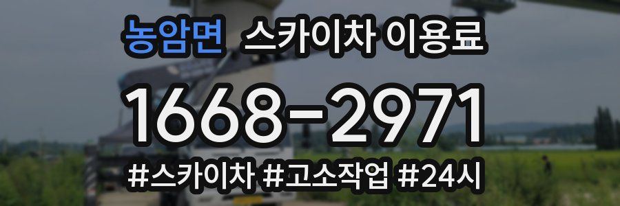 농암면 스카이차 이용료