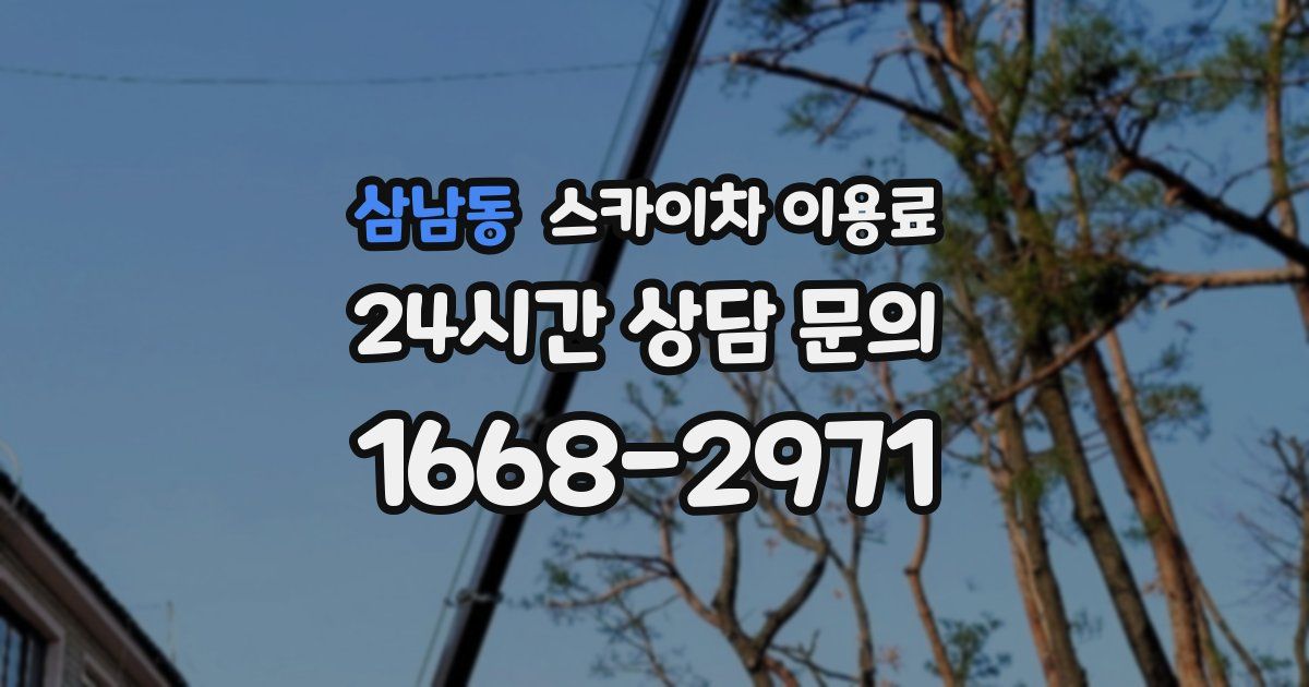 삼남동 스카이차 이용료