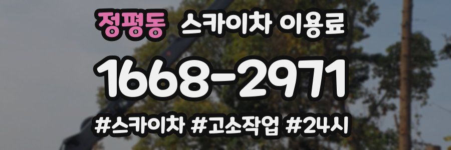 정평동 스카이차 이용료