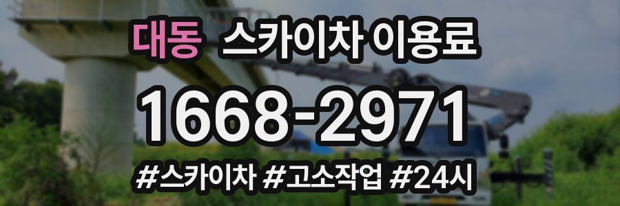 대동 스카이차 이용료