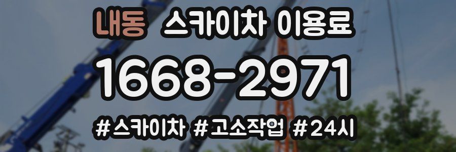 내동 스카이차 이용료