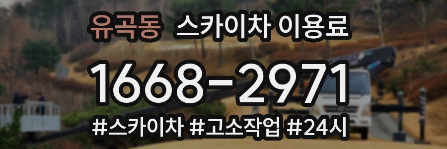 유곡동 스카이차 이용료