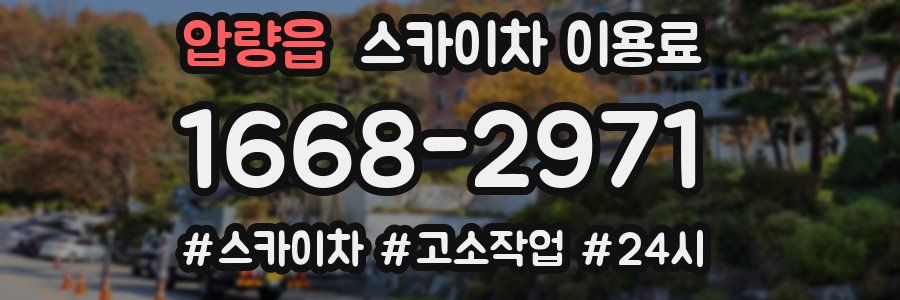 압량읍 스카이차 이용료