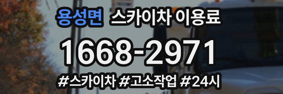 용성면 스카이차 이용료