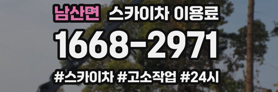 남산면 스카이차 이용료