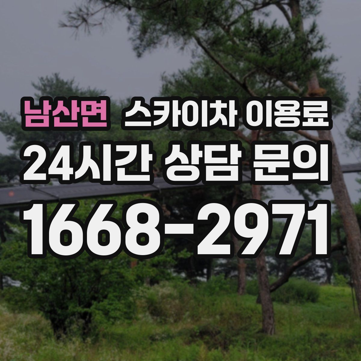 남산면 스카이차 이용료