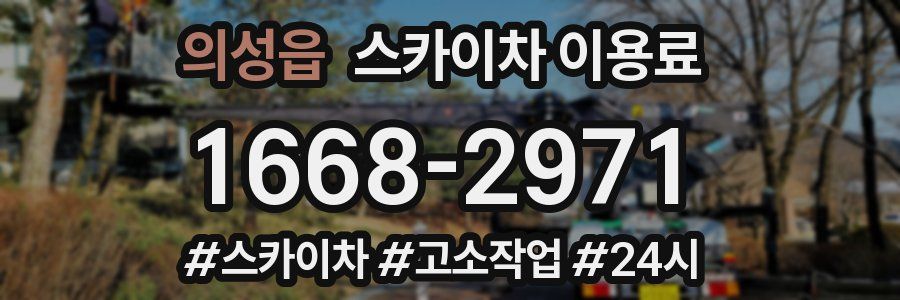 의성읍 스카이차 이용료