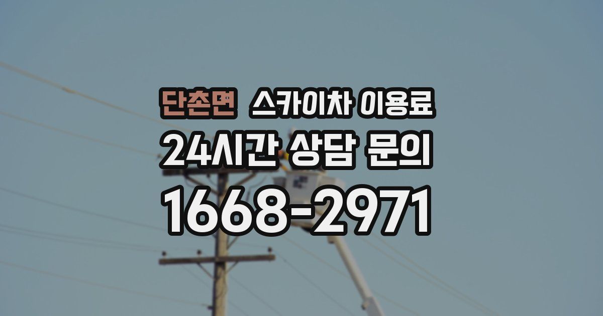 단촌면 스카이차 이용료