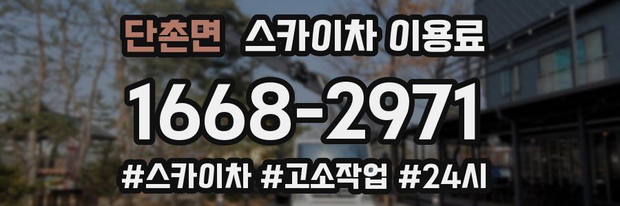 단촌면 스카이차 이용료