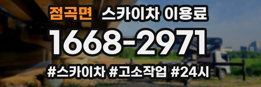 점곡면 스카이차 이용료