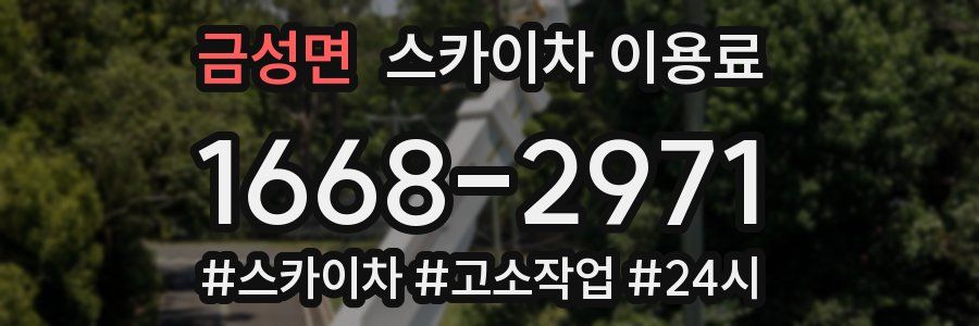 금성면 스카이차 이용료
