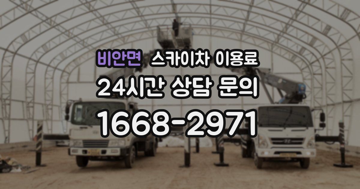 비안면 스카이차 이용료