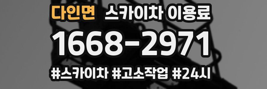 다인면 스카이차 이용료