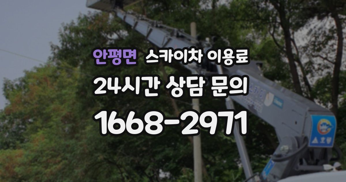 안평면 스카이차 이용료