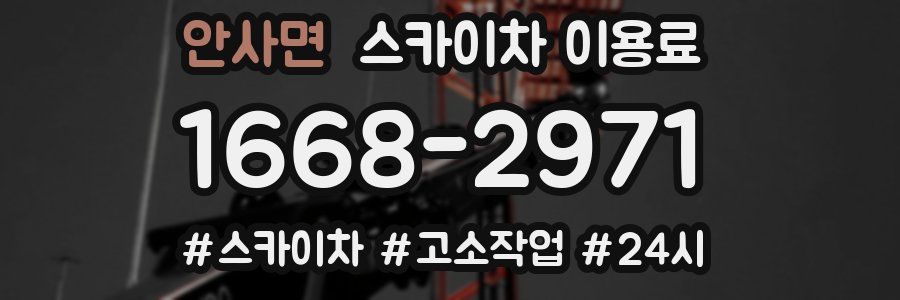 안사면 스카이차 이용료