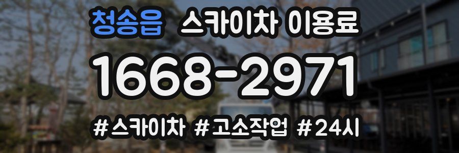 청송읍 스카이차 이용료