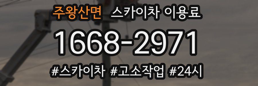 주왕산면 스카이차 이용료