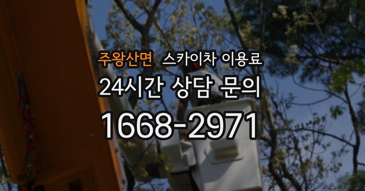 주왕산면 스카이차 이용료