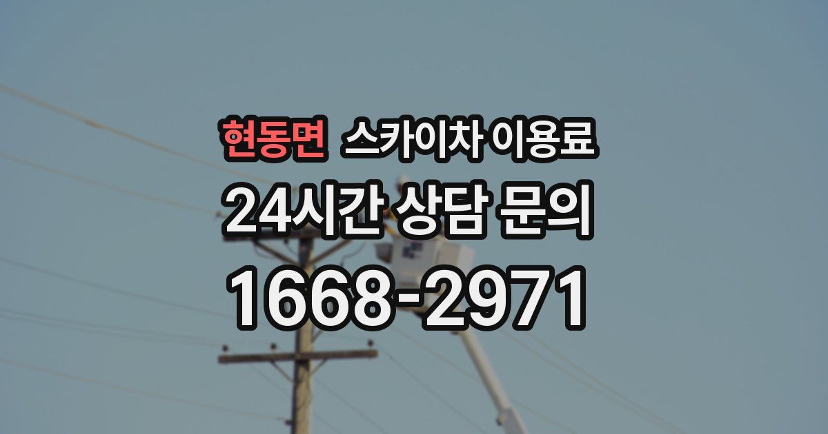 현동면 스카이차 이용료
