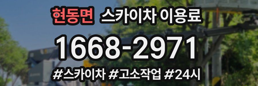 현동면 스카이차 이용료