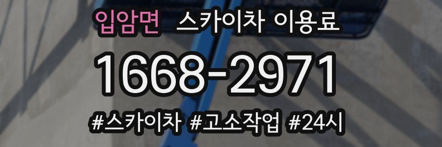 입암면 스카이차 이용료