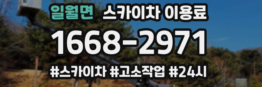 일월면 스카이차 이용료