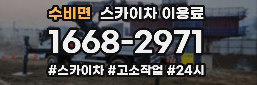 수비면 스카이차 이용료