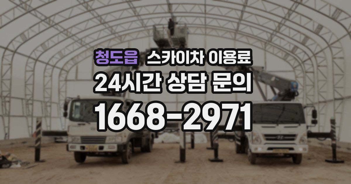 청도읍 스카이차 이용료